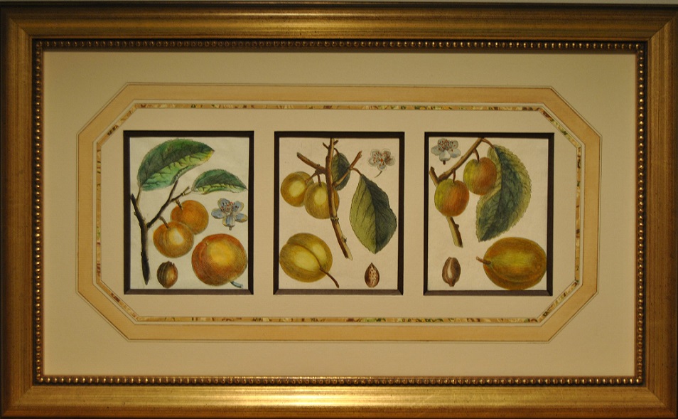 Detalle de paspartú pintado