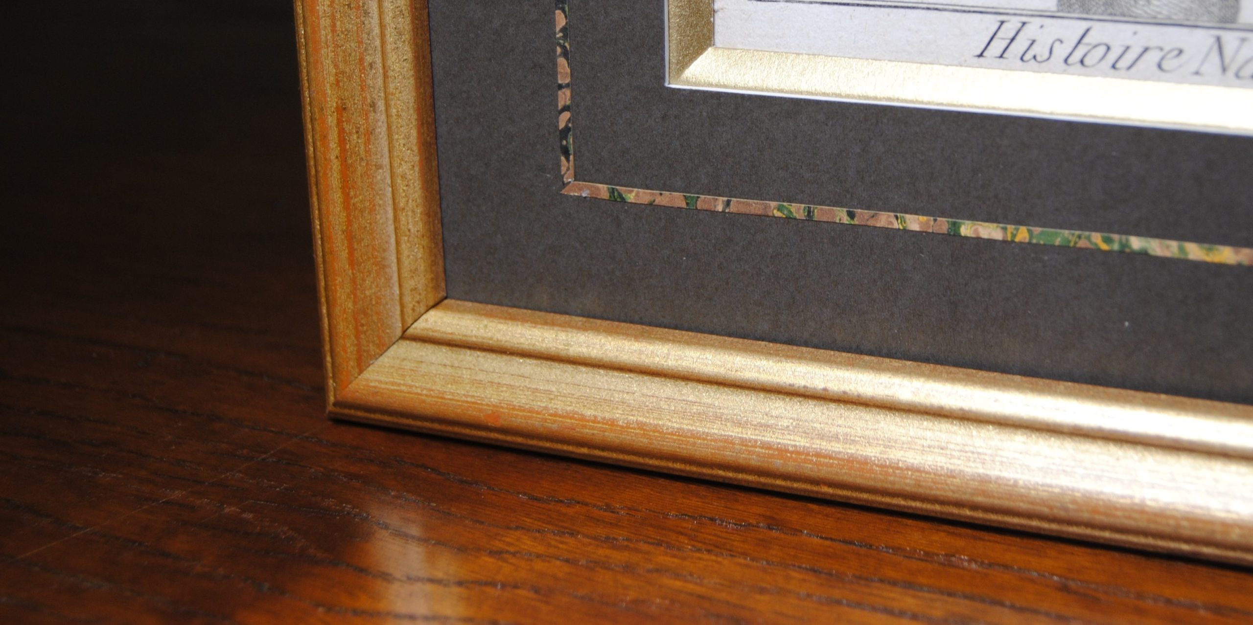 Modelo de enmarcación de Atelier Lavis